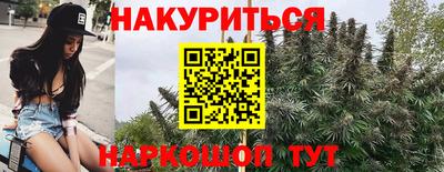 мяу мяу мука Будённовск